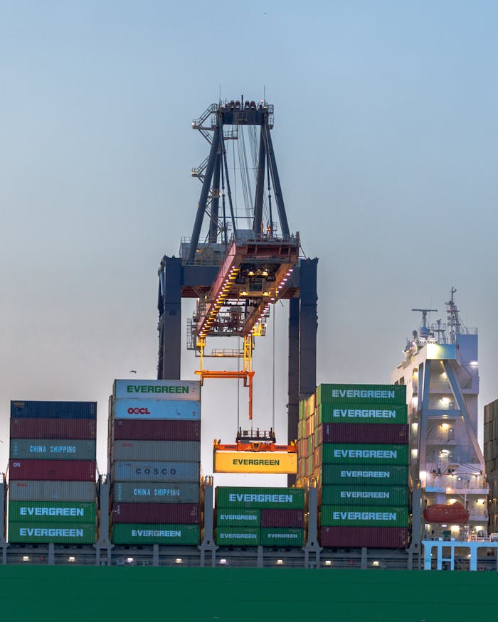 Container crane operates at a busy shipping terminal in the evening light